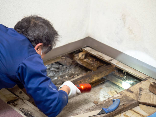Crawl Space Mold Removal in Jewett City, CT