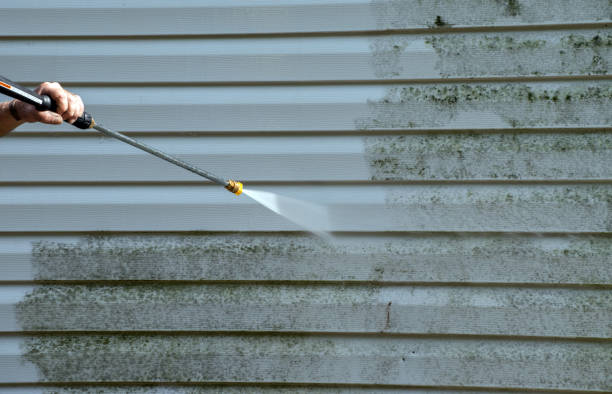 Best Residential Mold Removal  in Jewett City, CT