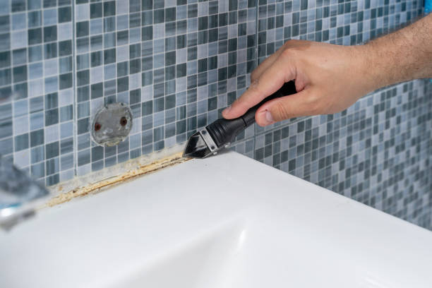 Best Black Mold Removal  in Jewett City, CT