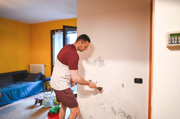 Best Mold Damage Repair  in Jewett City, CT